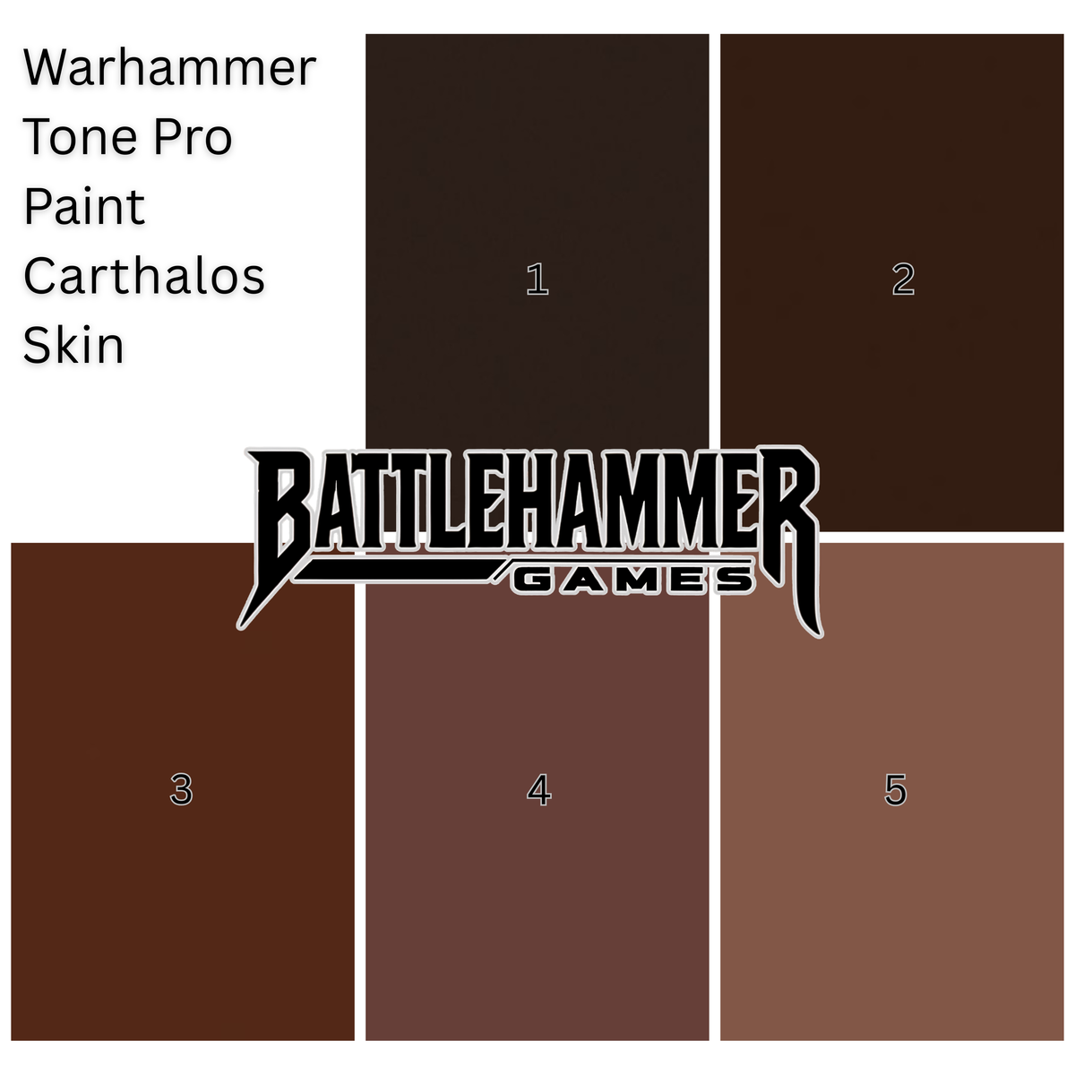 Warhammer Tone Pro Paint Carthalos Skin 3 12Ml